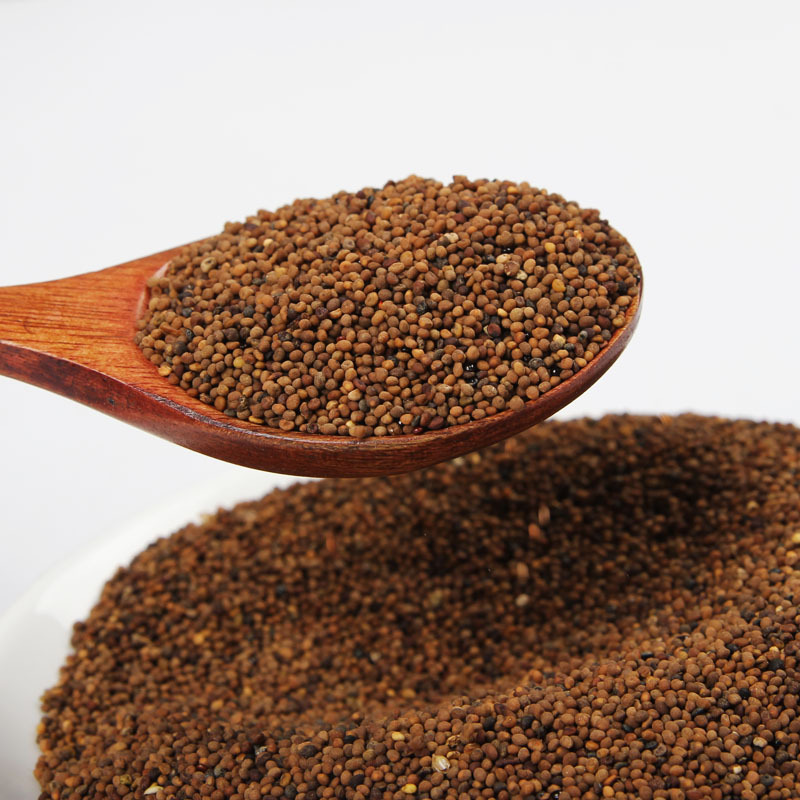 菟丝子 传统滋补佳品与现代应用