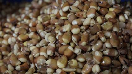 贺兰山下产业旺，乡村振兴水产品助力发展