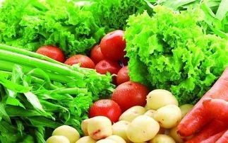 城事观察丨阿左旗10月中旬蔬菜价格上涨 其他主要食品价格总体平稳