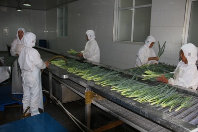脱水蔬菜 方便背后的营养秘密与现代餐桌的绿色革新