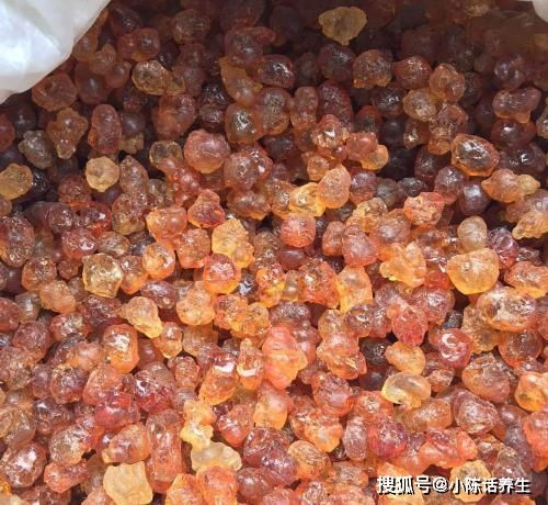 鲜桃滞销下的机遇 荆门屈家岭桃胶产业货源供应价格意外惊喜，水产品市场联动展望