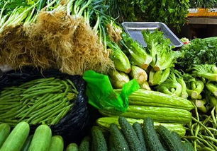 上海菜场终现'一元菜' 蔬菜价格跌幅明显，民生实惠可期